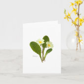 Carte Primrose (Fleur jaune)