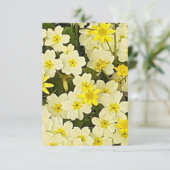 Carte Primroses du printemps (Debout devant)