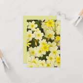 Carte Primroses du printemps (Devant/Arrière en situation)