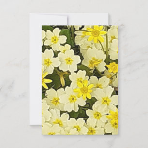 Carte Primroses du printemps