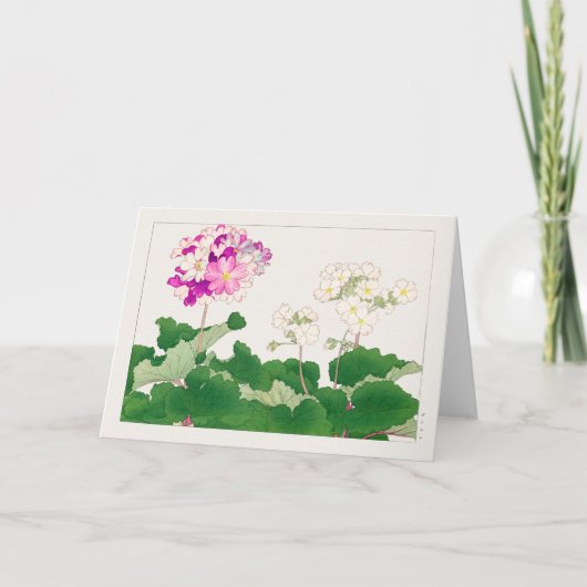 Carte Primula par Tanigami Konan (Devant)