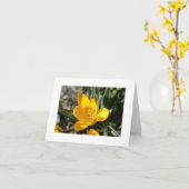 Carte Printemps de bienvenue (Fleur jaune)