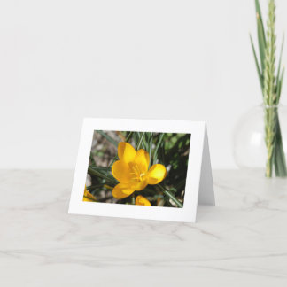 Carte Printemps de bienvenue