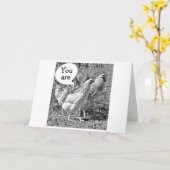 CARTE PRINTEMPS POULET MÊME À L'ÂGE DE "40" ANNIVERSAIRE (Fleur jaune)