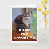 CARTE ***PRIS DANS L'ACTE*** JOLI ANNIVERSAIRE À VOUS (Fleur jaune)