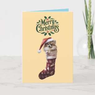 Carte Prise de Noël en Poméranie