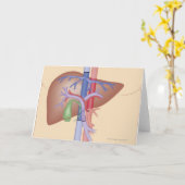 Carte Procédure de greffe de foie (Fleur jaune)