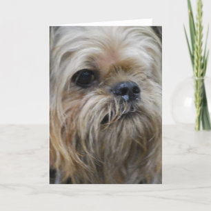 Carte Produit de personnaliser