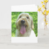 Carte Produits de Goldendoodle (Fleur jaune)