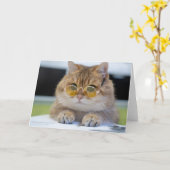 Carte Professeur Hosico (Fleur jaune)