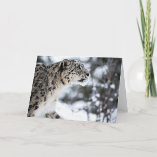 Carte Profil de Snow Leopard
