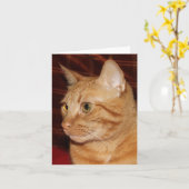 Carte Profil de visage de chat Tabou orange (Fleur jaune)