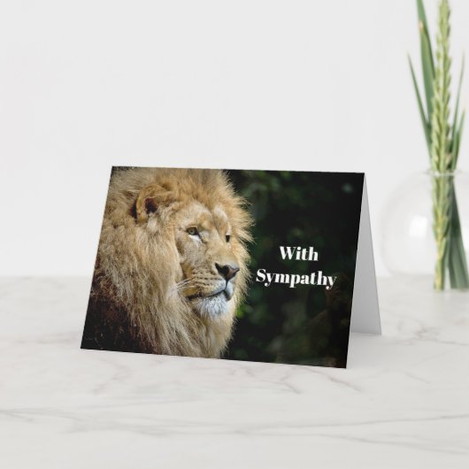 Carte Profil Lion Faune Photo Sympathie (Devant)