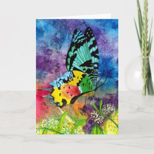 Carte Profil Madagascar Splash (Devant)