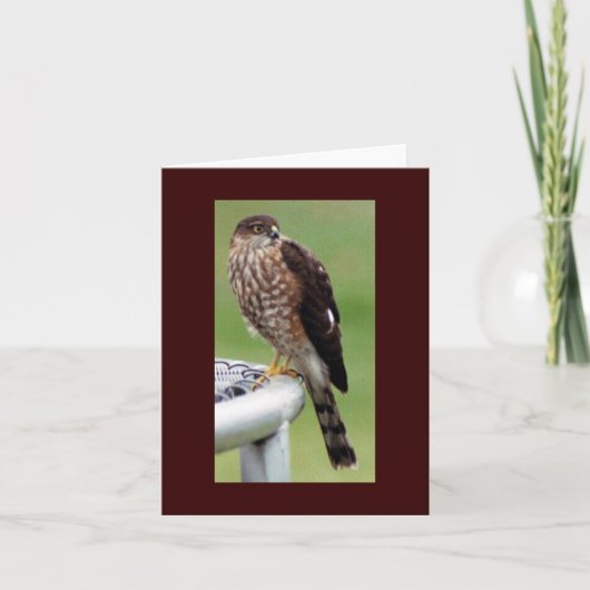 Carte Profil parfait (Devant)