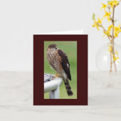 Carte Profil parfait (Fleur jaune)