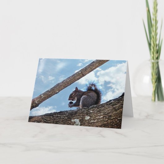 Carte Profiter d'une noix (Devant)