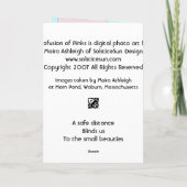 Carte Profusion de roses (Dos)