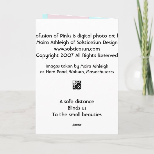 Carte Profusion de roses (Dos)