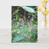 Carte Profusion de roses (Fleur jaune)