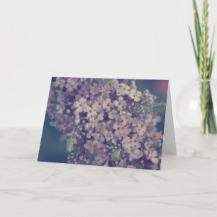 Carte Promise 2 Photographie de fleurs de lilas sur ca