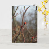 Carte Promise Finding (Fleur jaune)