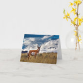 Carte Pronghorn à Meadow, Yellowstone NP (Fleur jaune)