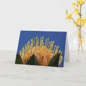 Carte Protéa flower card (Fleur jaune)