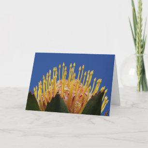 Carte Protéa flower card