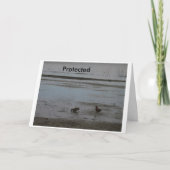 Carte Protégé (Devant)