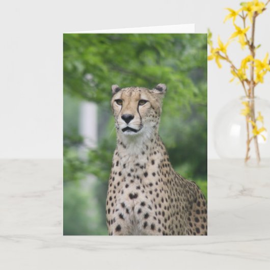 Carte ProudCheetah (Fleur jaune)