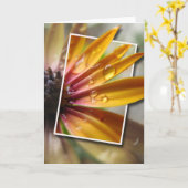 Carte Provenir (Fleur jaune)