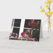Carte Proverbe Irlandaise Dog in Window (Fleur jaune)