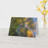 Carte Proxy Falls Three Sisters Wilderness Oregon (Fleur jaune)