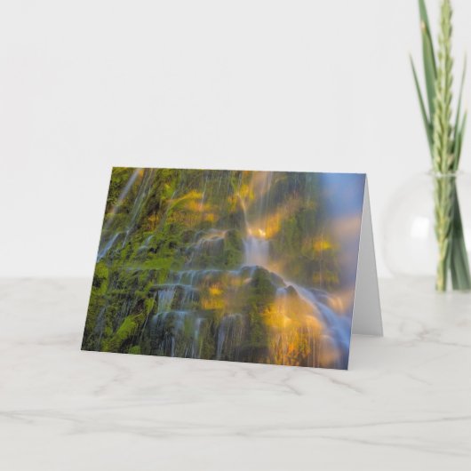 Carte Proxy Falls Three Sisters Wilderness Oregon (Devant)