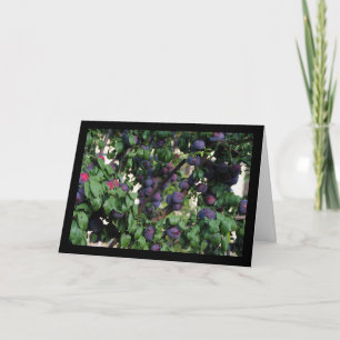 Carte Prunes violettes nichées parmi les feuilles