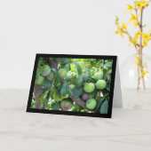 Carte Prunes Violettes Non Mûres (Fleur jaune)