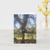 Carte Psalm 1:1-3 Blank Card (Fleur jaune)