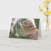 Carte Psitt ! Conjecture ce qui ? (Fleur jaune)