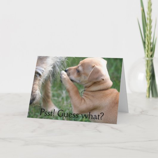 Carte Psitt ! Conjecture ce qui ? (Devant)