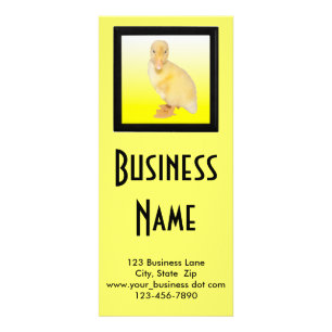 Carte Publicitaire Adorable Jaune Canard Photo Soin animal personnali