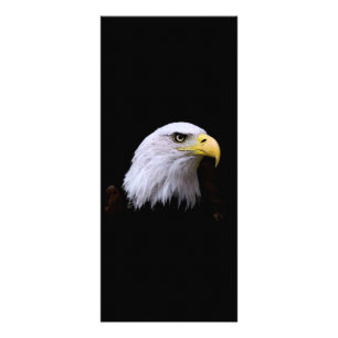 Carte Publicitaire Bald Eagle - American Eagle Rack Card