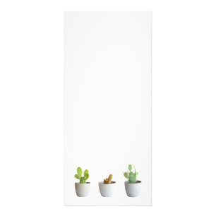 Carte Publicitaire Cactus in pots