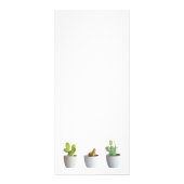 Carte Publicitaire Cactus in pots (Dos)