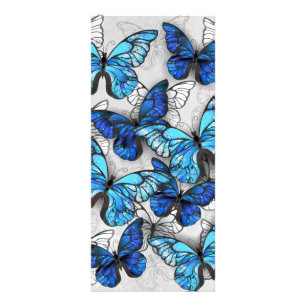 Carte Publicitaire Composition des White and Blue Butterflies