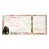 Carte Publicitaire DIAMANT frison - support/carte postale (Dos)