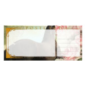 Carte Publicitaire DIAMANT - Rackcard 3/carte postale (Dos)