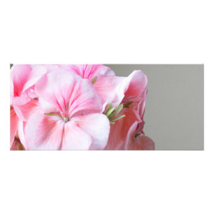 Carte Publicitaire Fleur de géranium rose