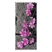 Carte Publicitaire Fleurs violettes (Dos)