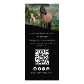 Carte Publicitaire Logo du ranch pour chevaux Adresse de marque éques (Dos)